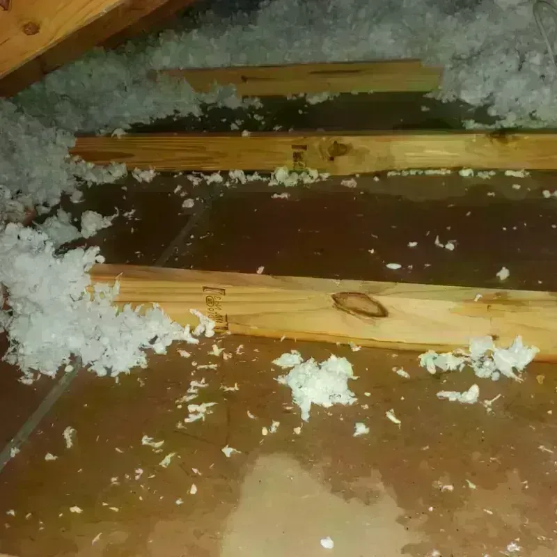 Attic Water Damage in Cape Carteret, NC