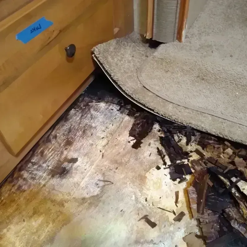 Best Wood Floor Water Damage Service in Cape Carteret, NC